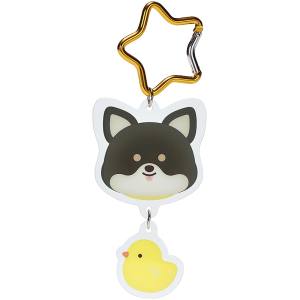 スケーター SKATER スケーター CHIHUAHUA カラビナ付き アクリル キーホルダー ZCAKH1