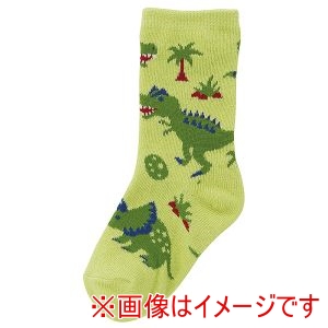 スケーター SKATER スケーター ディノサウルス ソックス 14～16cm SOX2