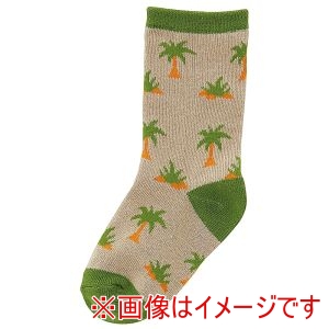 スケーター SKATER スケーター DINOヤシの木 ソックス 14～16cm SOX2