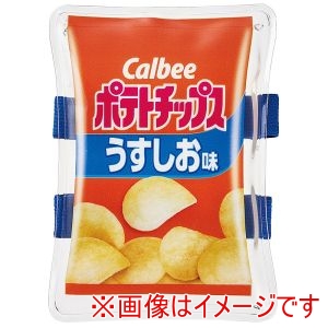 スケーター SKATER スケーター ポテチうすしお味 ベルト付き 保冷剤 CLBB1