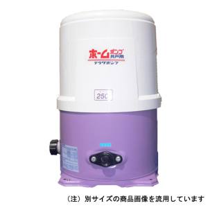 寺田ポンプ製作所 ホームポンプ 50HZ THP-250KF