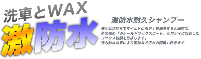  ソフト99 SOFT99 ソフト99 激防水耐久シャンプー ライト＆メタリック 750ml SOFT99