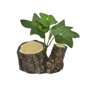 三晃商会 SANKO 三晃商会 オカヤドカリのゼリー皿