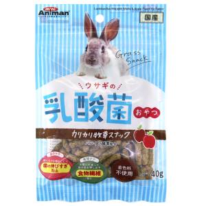ドギーマンハヤシ DoggyMan ドギーマン ウサギの乳酸菌おやつ カリカリ牧草スナック 40g