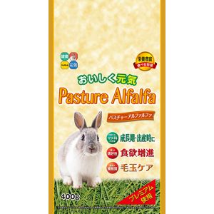ハイペット Hipet ハイペット Hipet パスチャーアルファルファ 400g