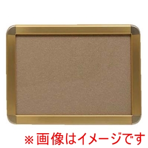 プラチナ万年筆 プラチナ万年筆  アケパネG G B3判 ゴールド/ゴールド