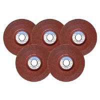 E-Value E-Value 100mmX6M オフセット砥石 5枚組