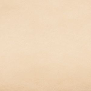 ハマナカ Hamanaka ハマナカ フェルト羊毛 アクレーヌ 約30g 109 H440-030-109