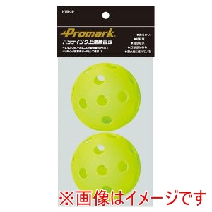 プロマーク Promark プロマーク HTB-2P バッティング上達練習球 2球入 YL