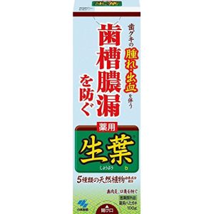 小林製薬 小林製薬 生葉 100g 薬用ハミガキ