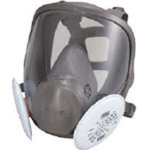スリーエム 3M スリーエム 3M 6000F/2071-RL2M 取替式防じんマスク 6000F/2071-RL2 Mサイズ