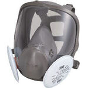 スリーエム 3M スリーエム 3M 6000F/2071-RL2L 取替式防じんマスク 6000F/2071-RL2 Lサイズ