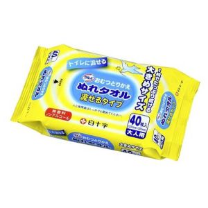 白十字 白十字 サルバ おむつとりかえぬれタオル流せるタイプ 40枚入