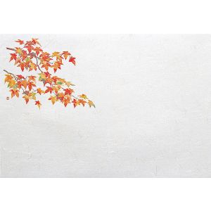 ヤマコー 用美 YAMACO ヤマコー 尺5雲竜和紙懐石まっと 四季 紅葉 100枚入 65185 用美