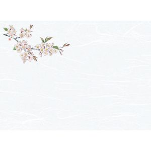 ヤマコー 用美 YAMACO ヤマコー 尺3雲竜和紙懐石まっと 花彩 はなさい 桜 100枚入 66429 用美