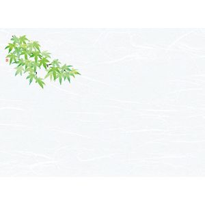 ヤマコー 用美 YAMACO ヤマコー 尺3雲竜和紙懐石まっと 花彩 はなさい 青もみじ 100枚入 66430 用美