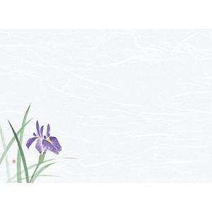 ヤマコー 用美 YAMACO ヤマコー 尺3雲竜和紙懐石まっと 花彩 はなさい 菖蒲 100枚入 66431 用美