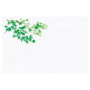 ヤマコー 用美 YAMACO ヤマコー 尺3 雲竜和紙懐石まっと 枯淡 青もみじ 100枚入 68045 用美