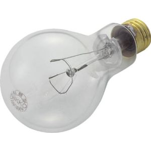 トラスコ TRUSCO トラスコ 耐震球 200W 1個 TK-200W