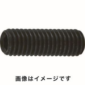 トラスコ中山 TRUSCO 六角穴付き止めネジ 平先 スチール M5×12 80本入 B63-0512