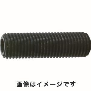 トラスコ中山 TRUSCO 六角穴付き止めネジ 平先 スチール M16×35 4本入 B63-1635