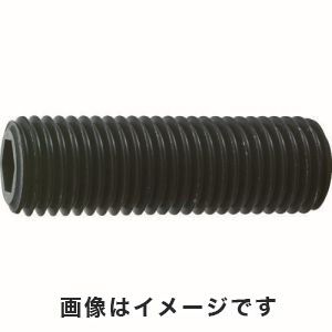 トラスコ中山 TRUSCO 六角穴付き止めネジ 平先 スチール M20×55 1本入 B63-2055