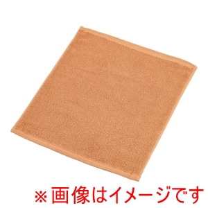 橘屋 橘屋 おしぼり No.28 茶 1ダース入