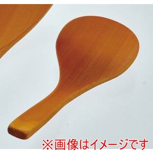 萬洋 MANYO 萬洋 27-479 炭化調味料スプーン