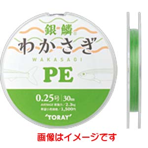 東レ TORAY 東レ 銀鱗 ワカサギ PE グリーン 30m 0.25号
